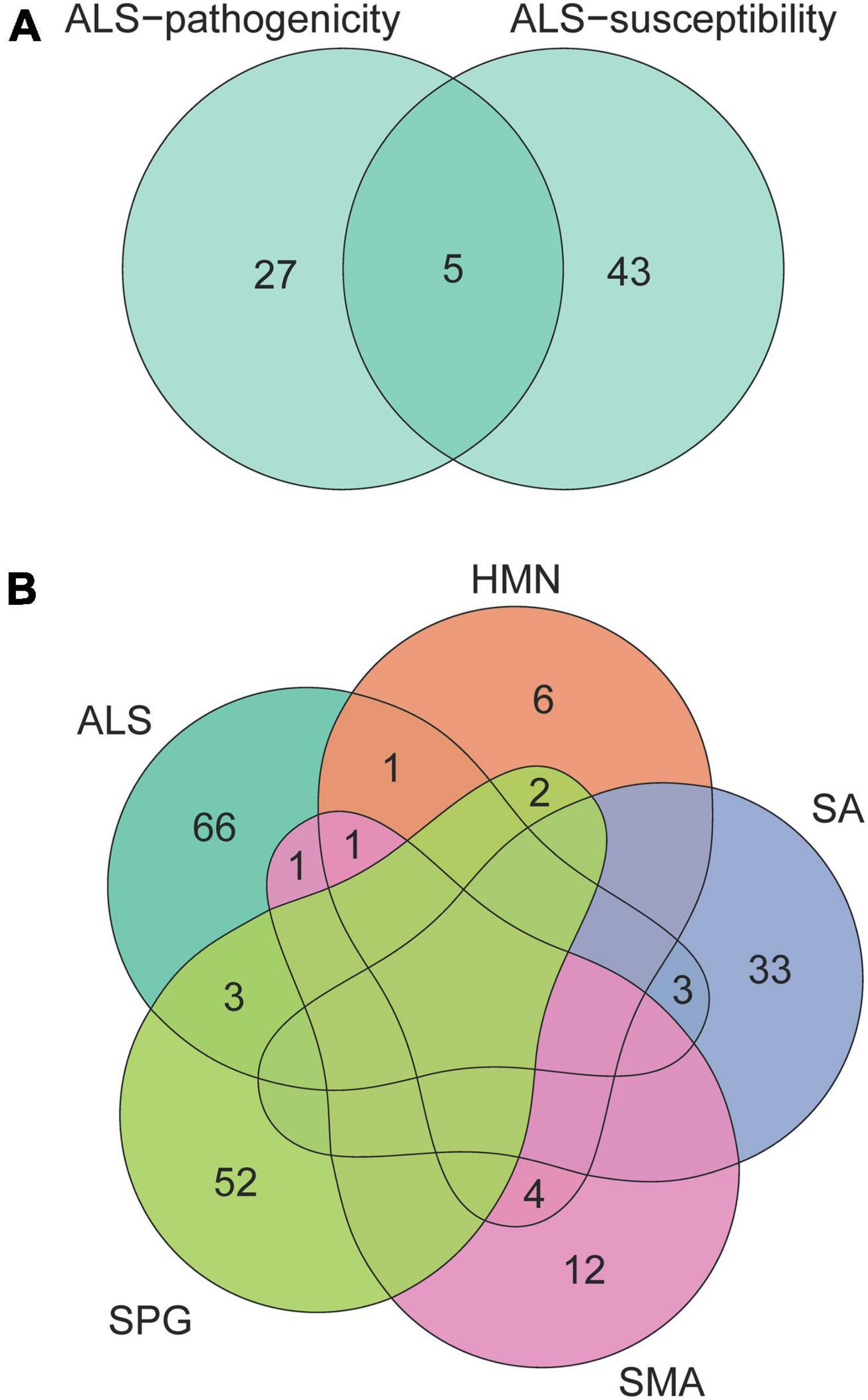 Integrative genetic and single cell RNA sequencing analysis provides new clues to the amyotrophic lateral sclerosis neurodegeneration